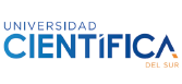 Cliente 1